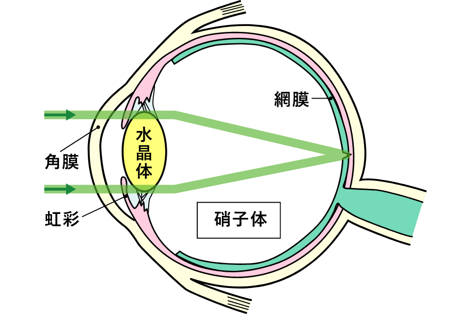 正常