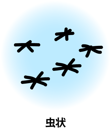 虫状
