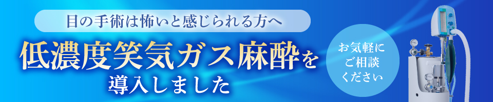 低濃度笑気ガス麻酔を導入しました